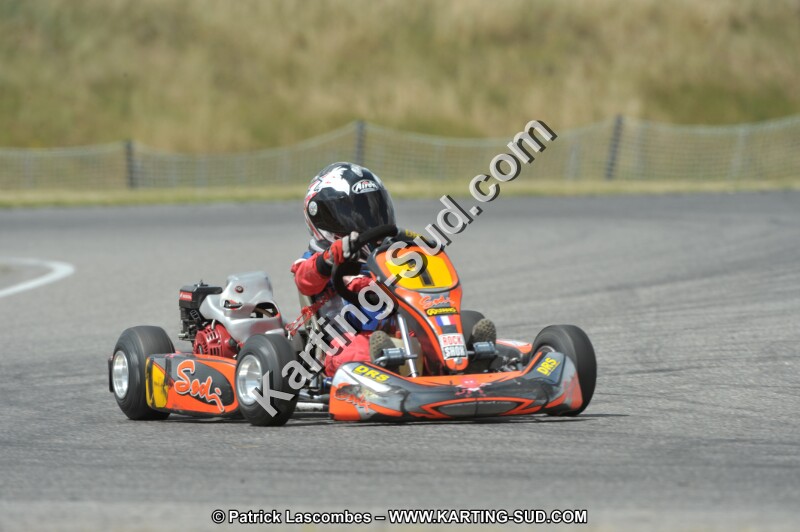 DSC_0913 (2).JPG